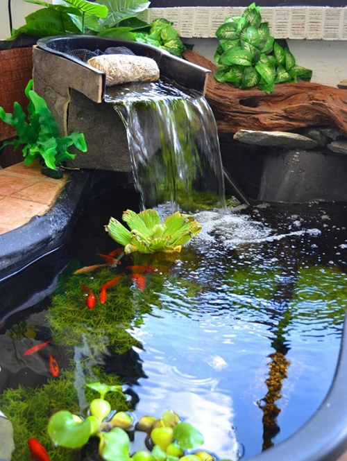 xe đạp tập Tây Ninh